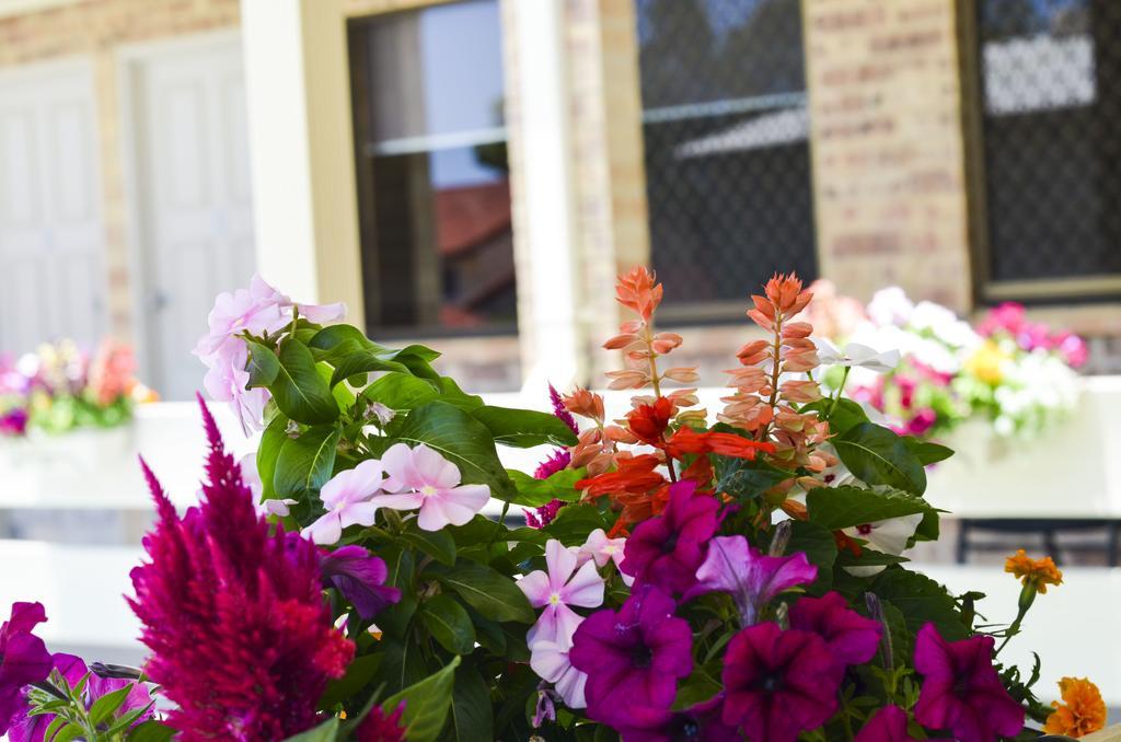 Golden Beach Motor Inn, Caloundra Bagian luar foto